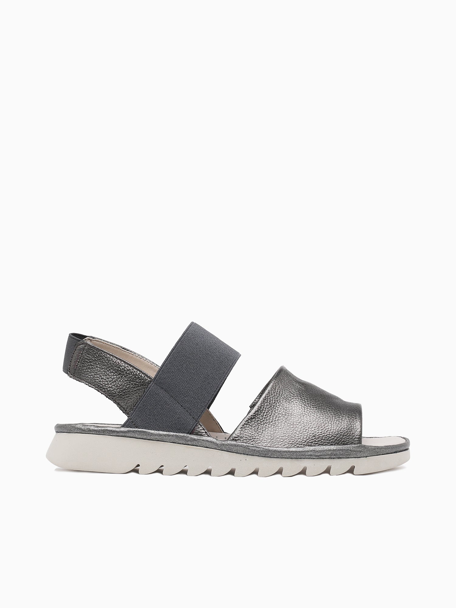 Banzai Canna Curtis Pewter / 5 / M