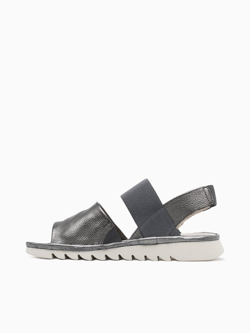 Banzai Canna Curtis Pewter / 5 / M