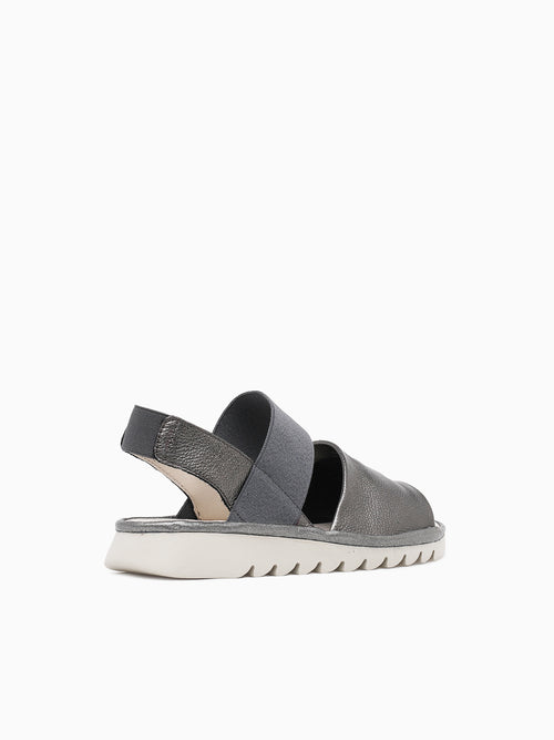 Banzai Canna Curtis Pewter / 5 / M