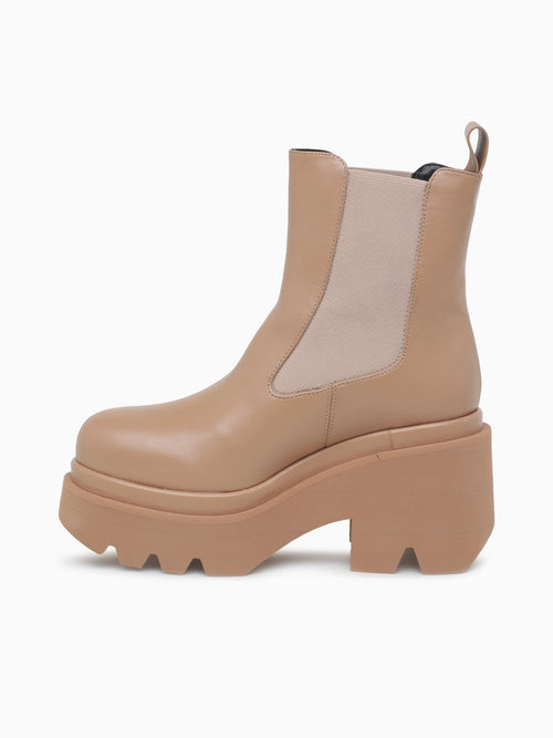 Miranda Nocciola Iris Brown / 36 / M