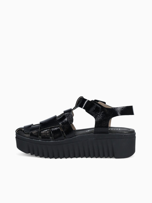 6287 Negro Naplak Leather Black / 36 / M