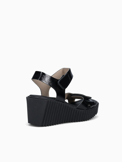 6281 Negro Naplak Leather Black / 36 / M
