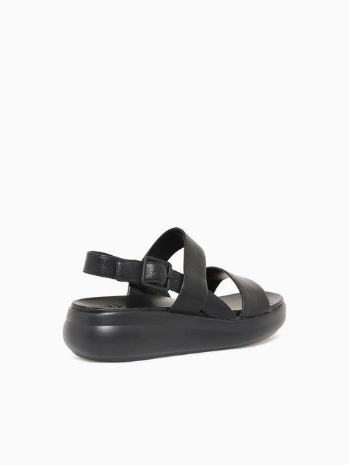 Coast Black Black / 5 / M