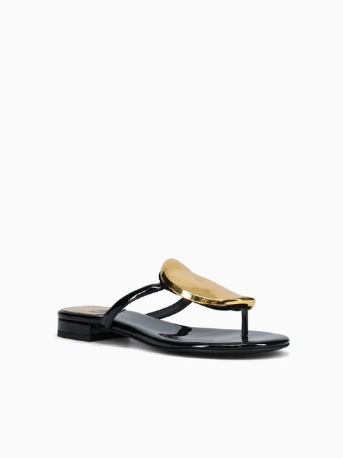 Shieldlo Black Shiny Black / 5 / M
