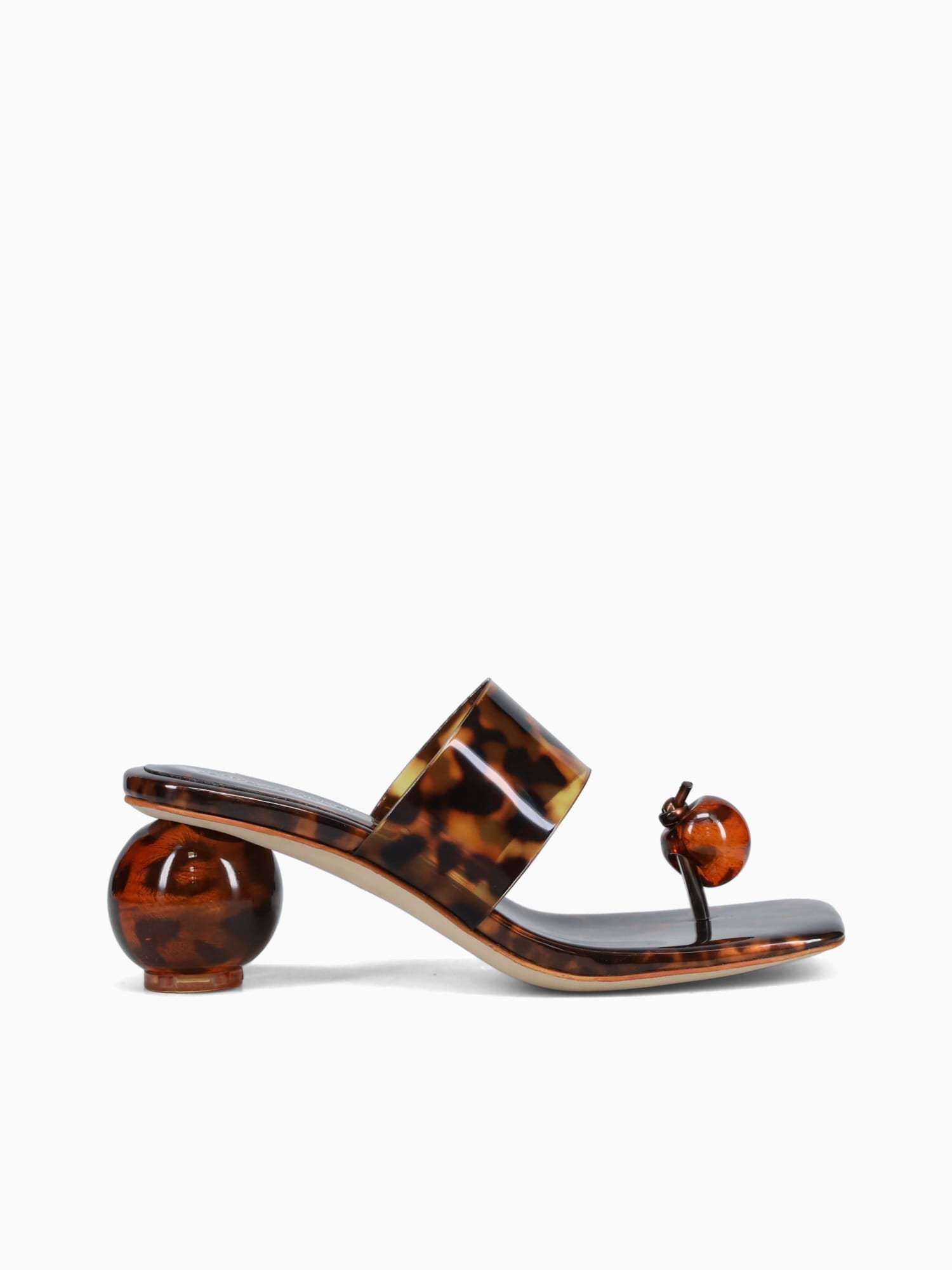 Latus Tortoise Vinyl Brown Multi / 5 / M