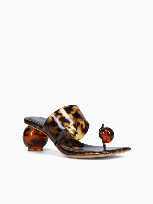 Latus Tortoise Vinyl Brown Multi / 5 / M