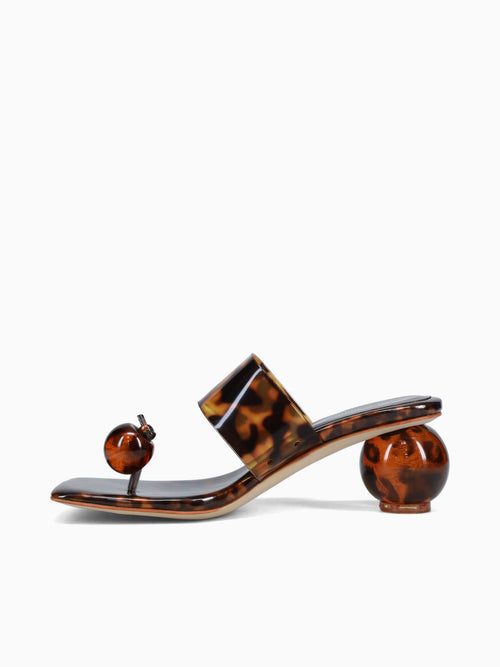 Latus Tortoise Vinyl Brown Multi / 5 / M