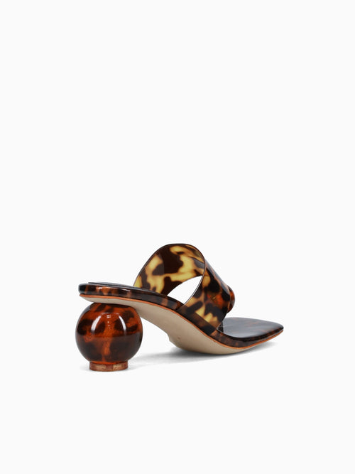 Latus Tortoise Vinyl Brown Multi / 5 / M