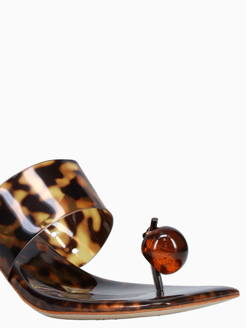 Latus Tortoise Vinyl Brown Multi / 5 / M