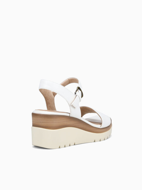 Graciela White White / 5 / M