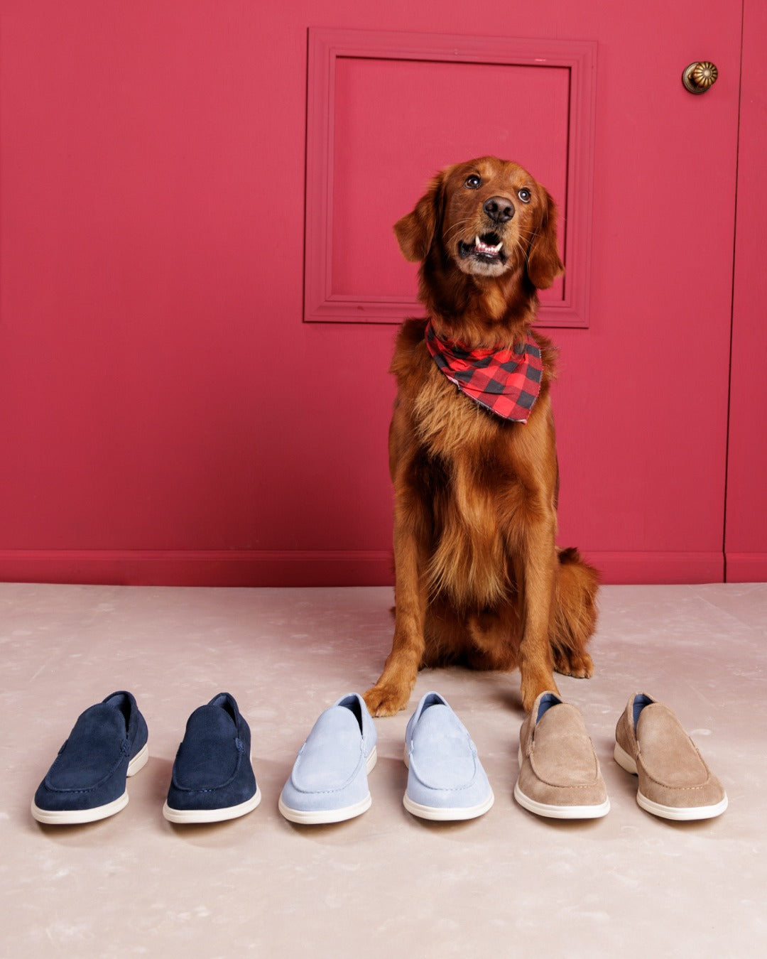 Viserys Navy Suede