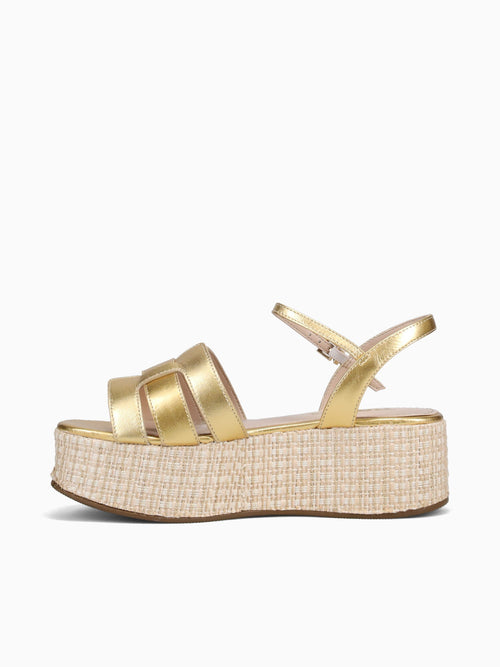 Aura Ouro Metalizado Gold / 5 / M