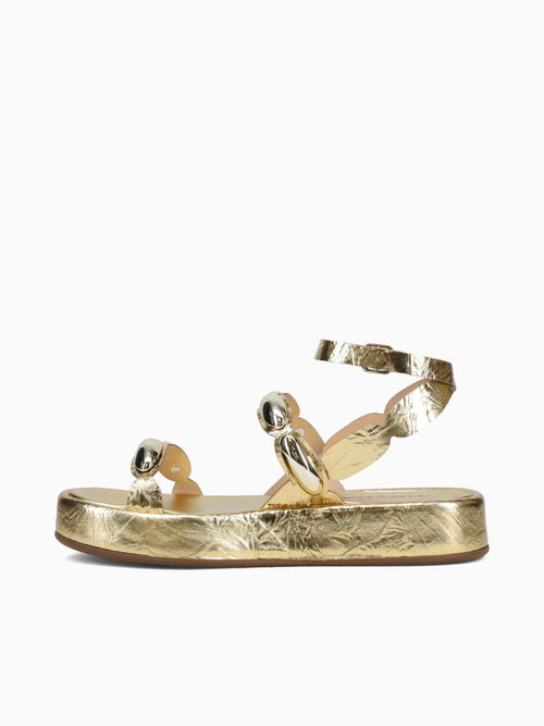 Gala Ouro Metal Gold / 5 / M