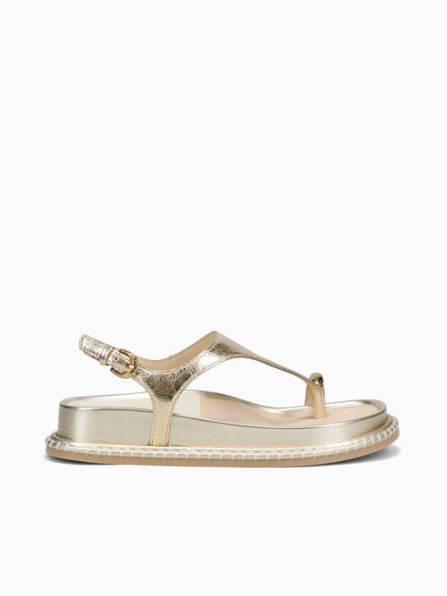 Stefan Gold Distressed Leather Gold / 6 / M