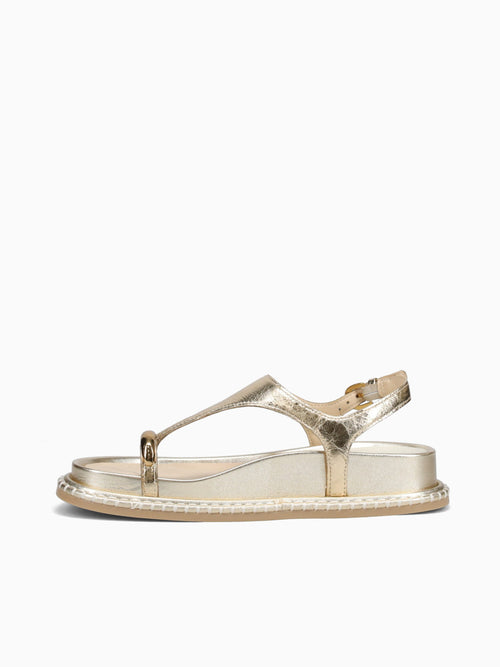 Stefan Gold Distressed Leather Gold / 6 / M
