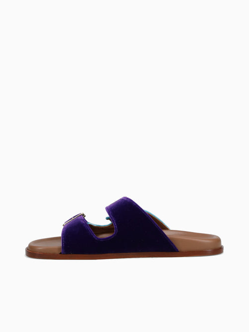 Fallonica Violet Aqua velvet Purple / 36 / M