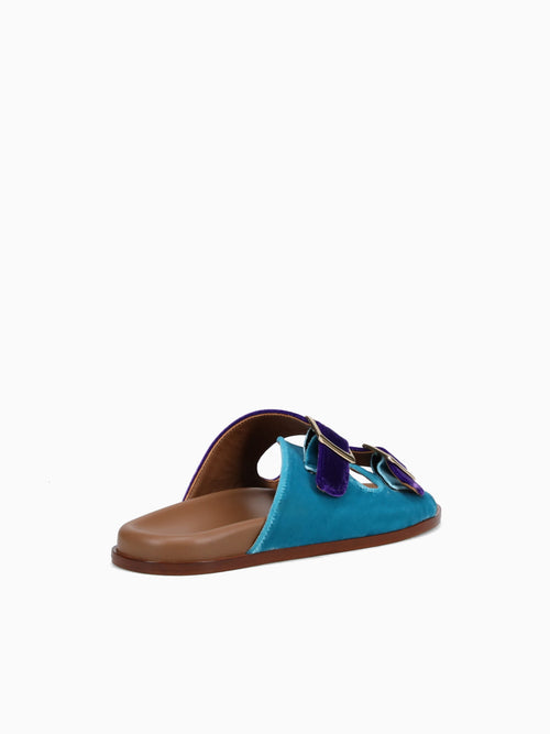 Fallonica Violet Aqua velvet Purple / 36 / M