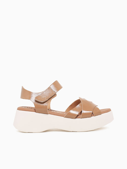 5683 Taupe Duna Taupe / 36 / M