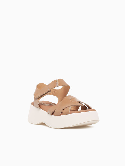 5683 Taupe Duna Taupe / 36 / M