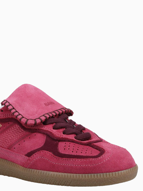 Tb.490 Club Raspberry Suede Pink / 5 / M