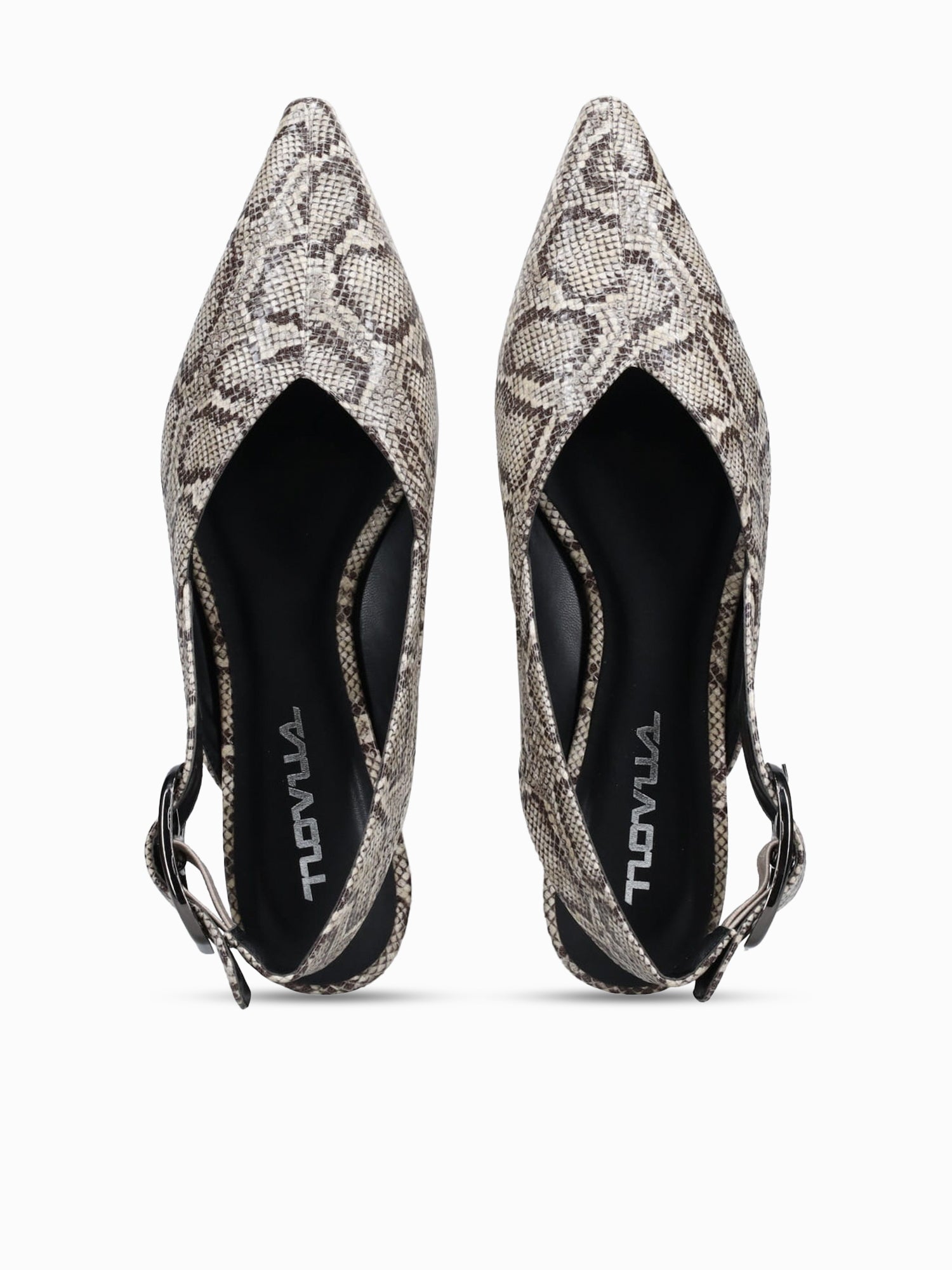 Lenny Snake Print Black Multi / 5 / M