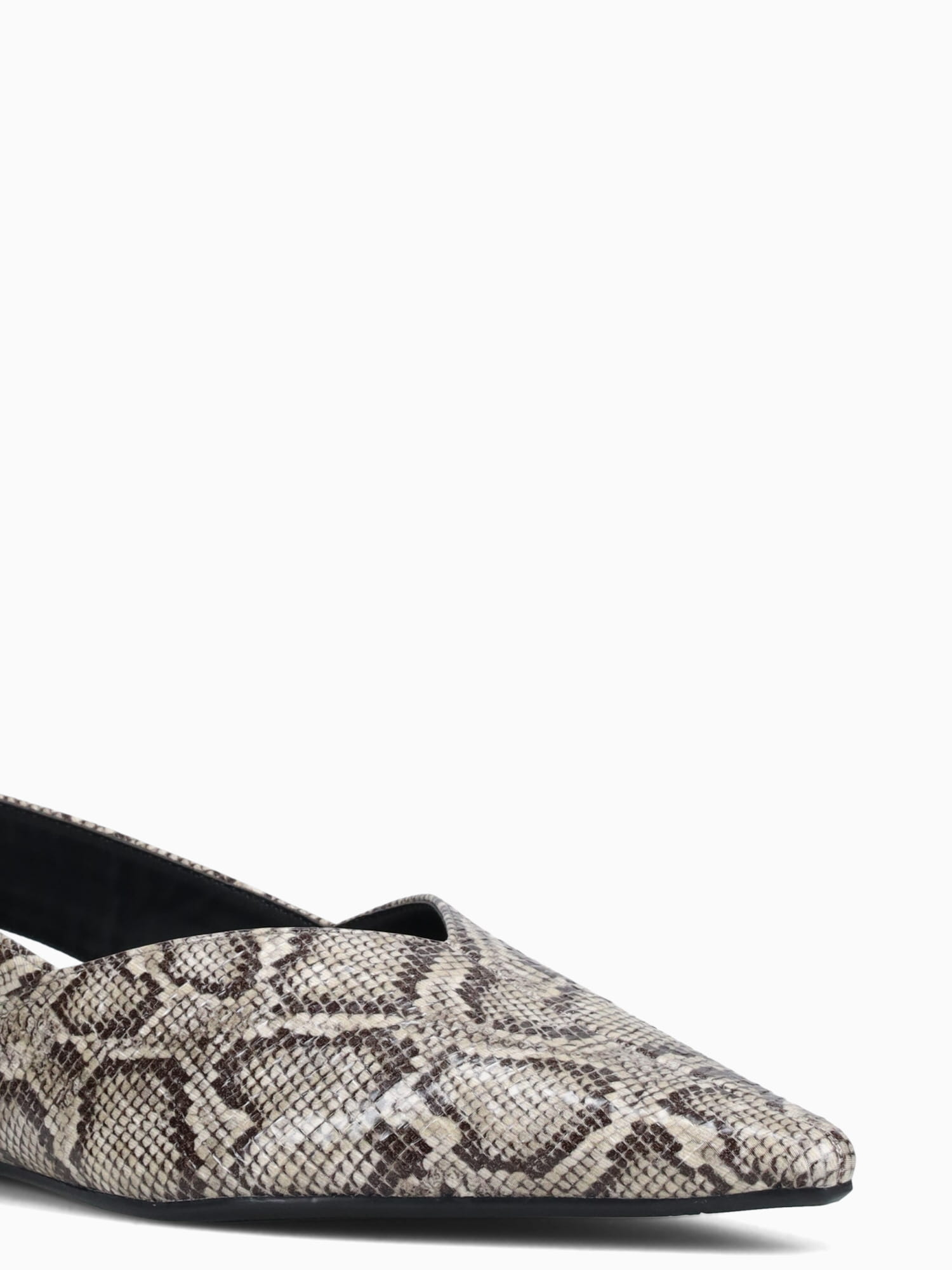 Lenny Snake Print Black Multi / 5 / M