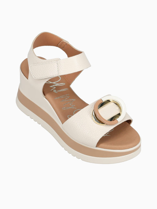 5764 Hielo Ice / 36 / M