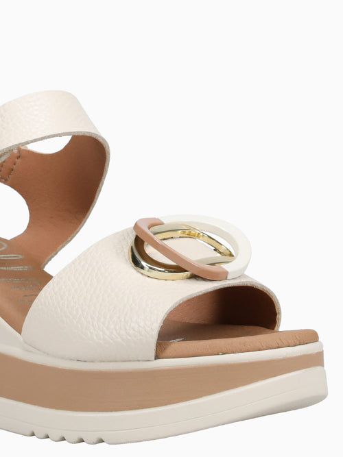5764 Hielo Ice / 36 / M