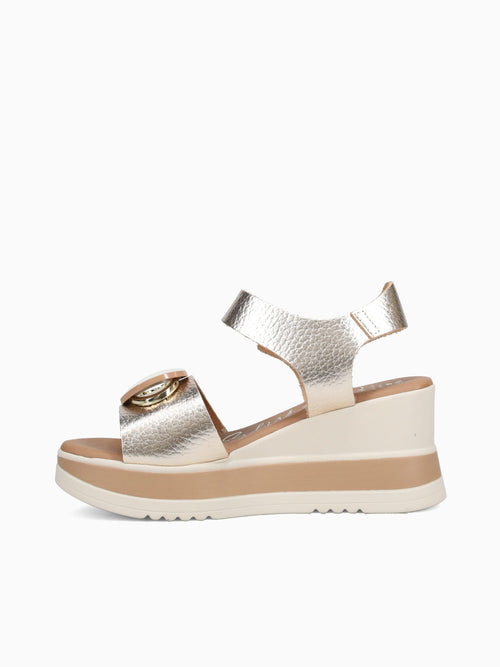 5764 Oro Gold / 36 / M