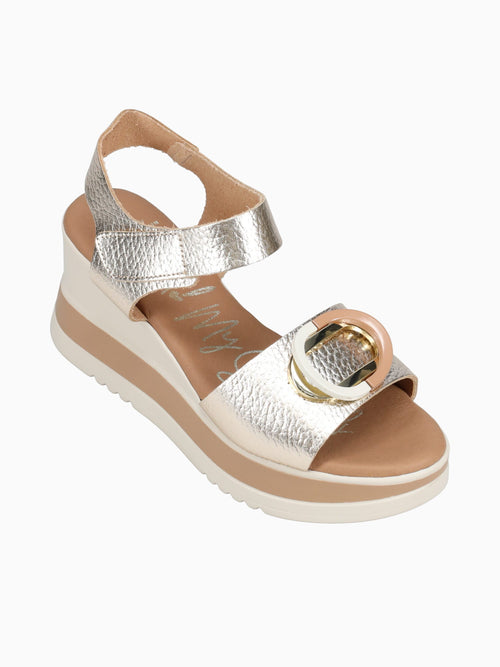 5764 Oro Gold / 36 / M