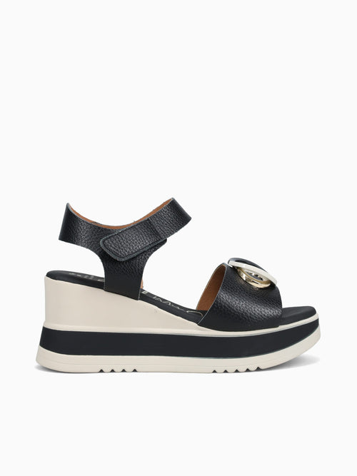 5764 Negro Black / 36 / M