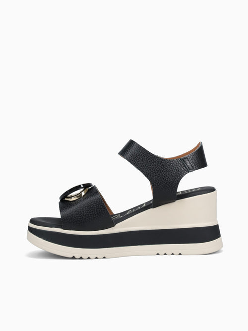5764 Negro Black / 36 / M