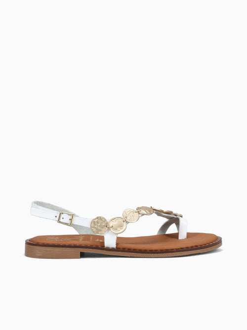 5788 Blanco White / 36 / M