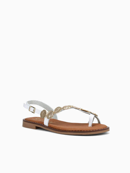 5788 Blanco White / 36 / M