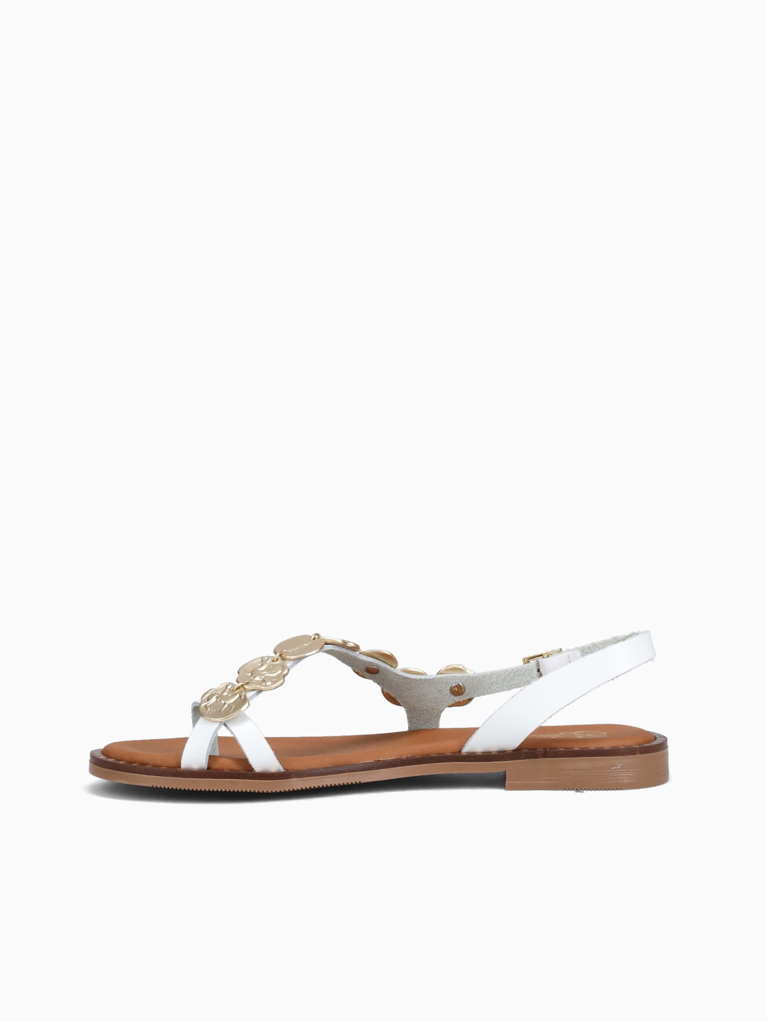 5788 Blanco White / 36 / M