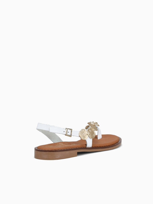 5788 Blanco White / 36 / M