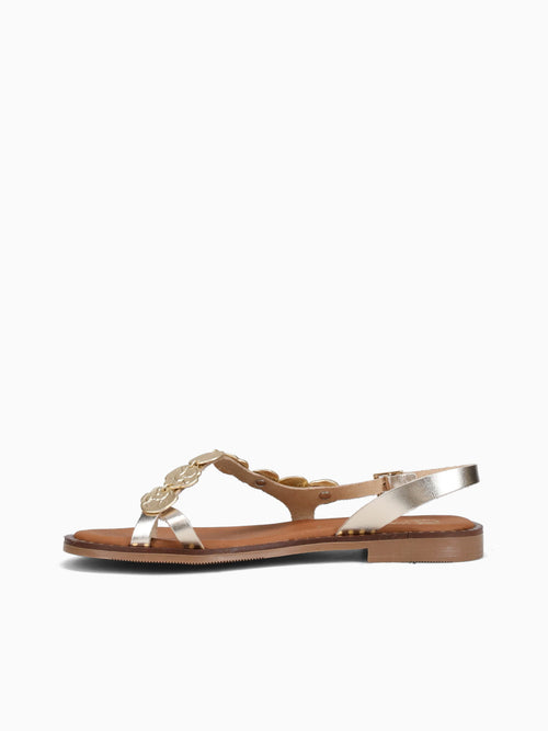 5788 Oro Gold / 36 / M