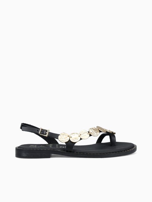 5788 Negro Black / 36 / M