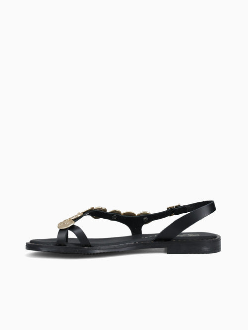 5788 Negro Black / 36 / M