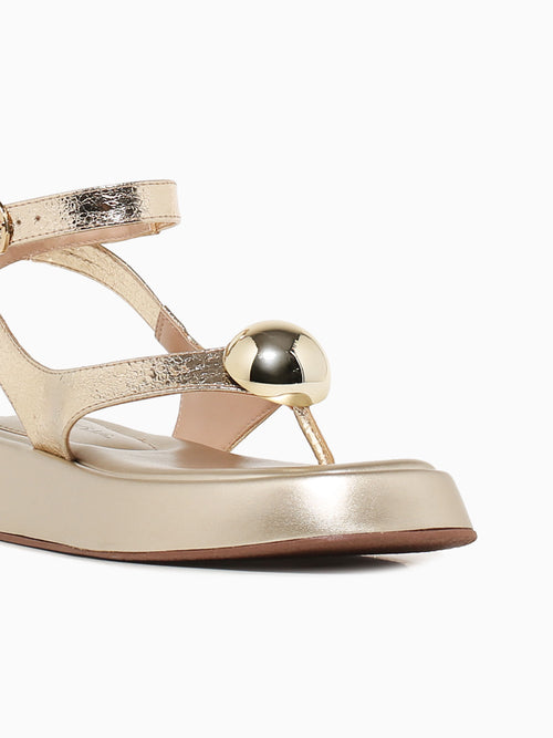 Sabina Lt. Gold New Essence Gold / 5 / M