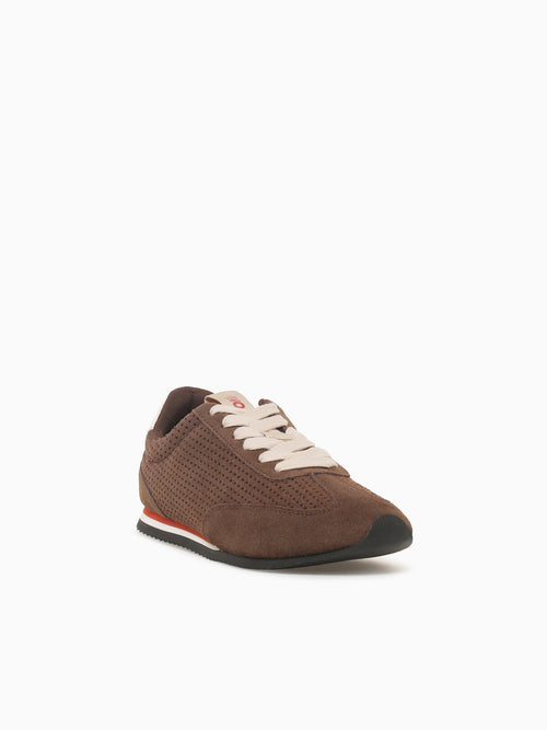 Isanti Marron Lea Brown / 36 / M