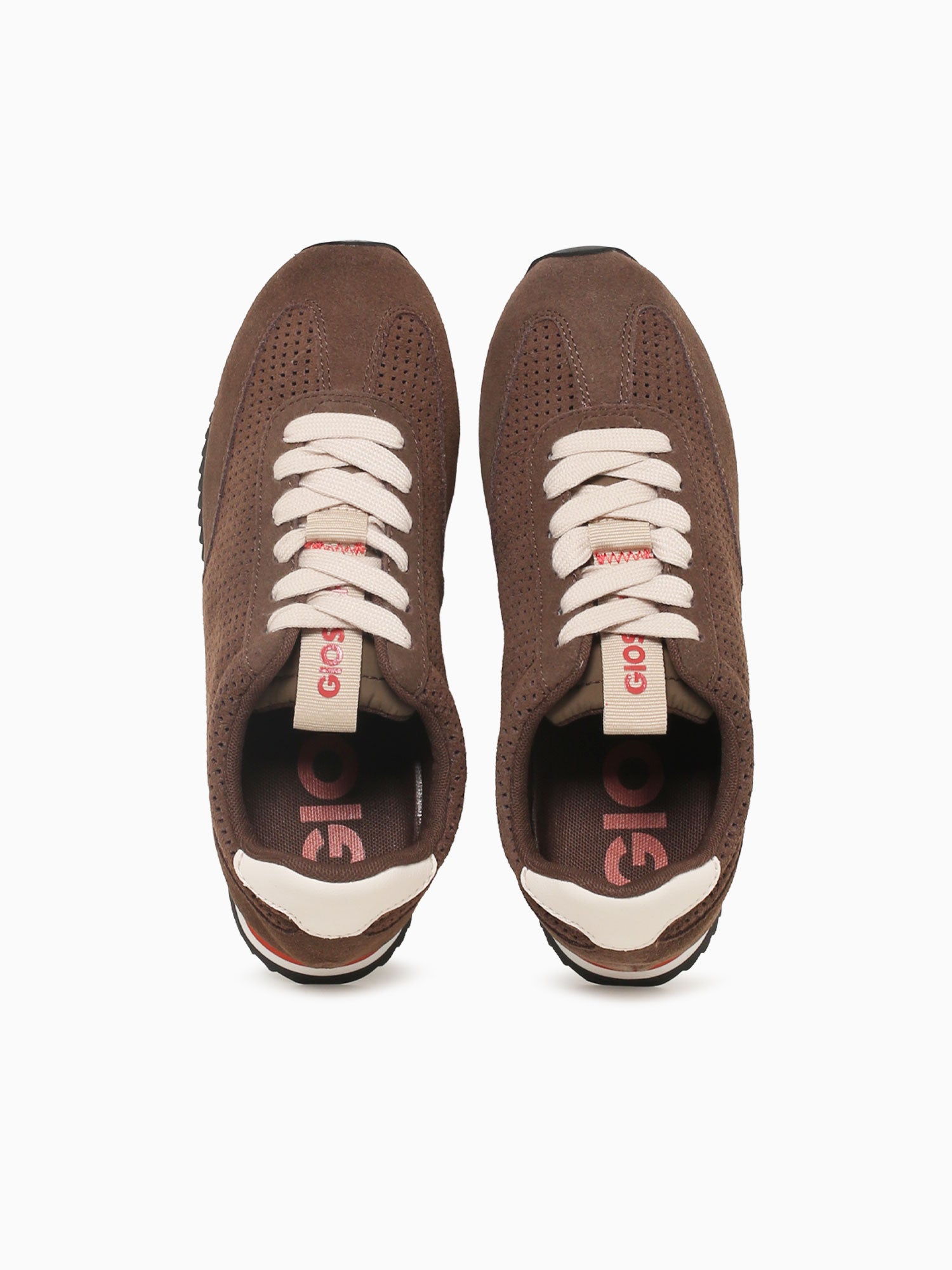 Isanti Marron Lea Brown / 36 / M