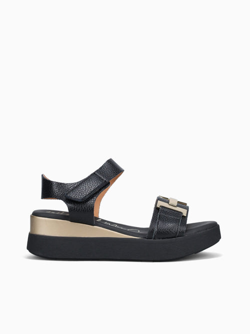 5672 Negro Doya Black / 36 / M