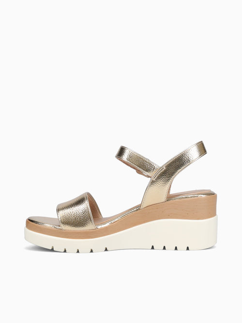 Graciela Dark Gold Gold / 5 / M