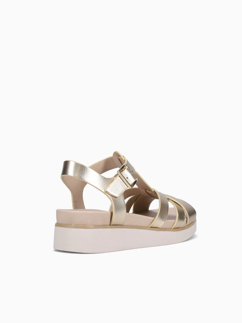 Grandiose Gold Gold / 5 / M