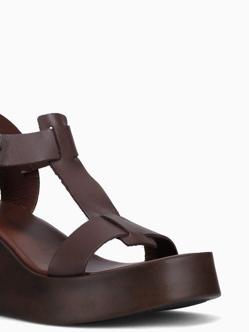 645 Testa Di Moro Brown / 36 / M