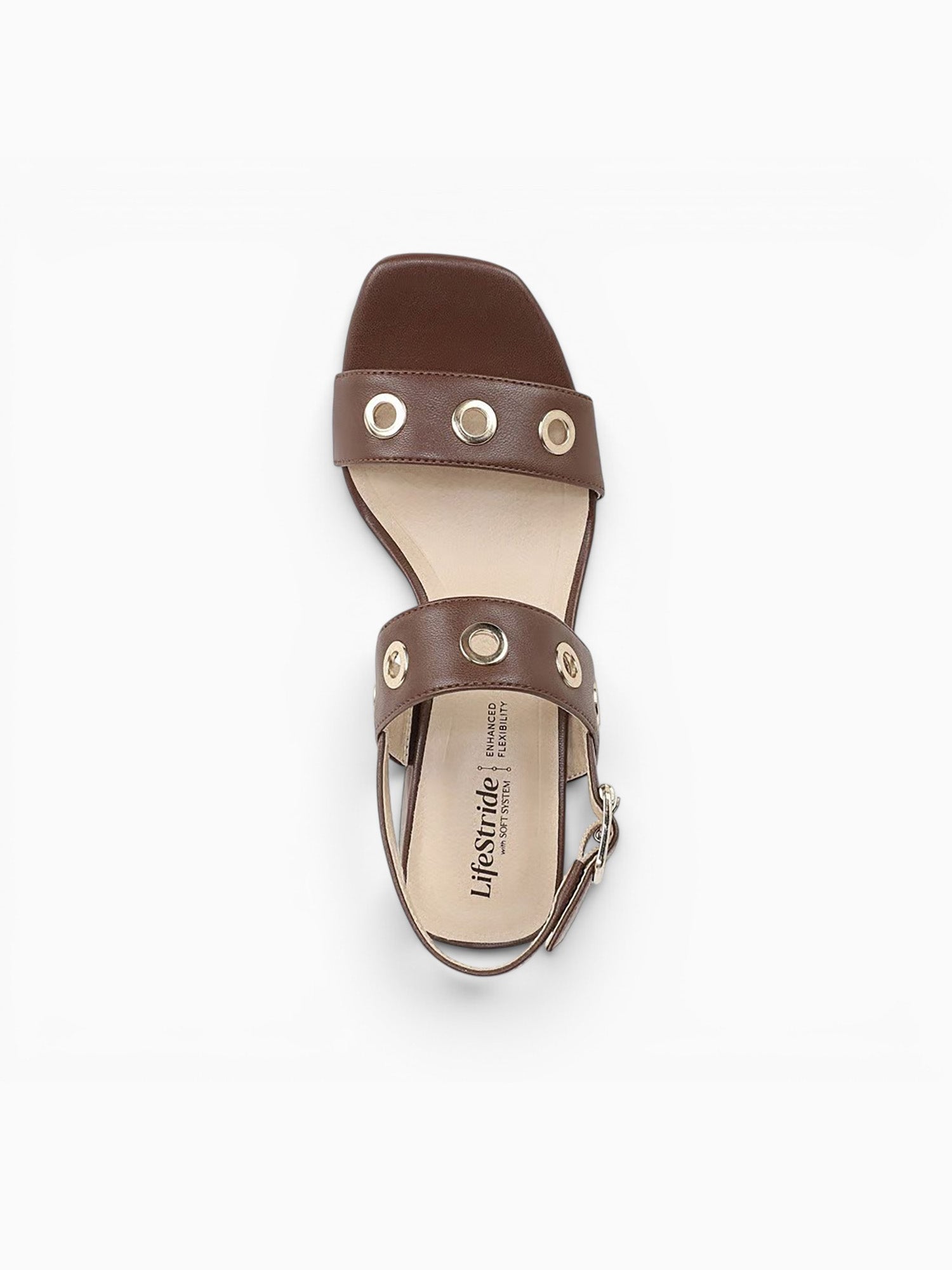 Clara Cocoa Brown Smooth Brown / 5 / M