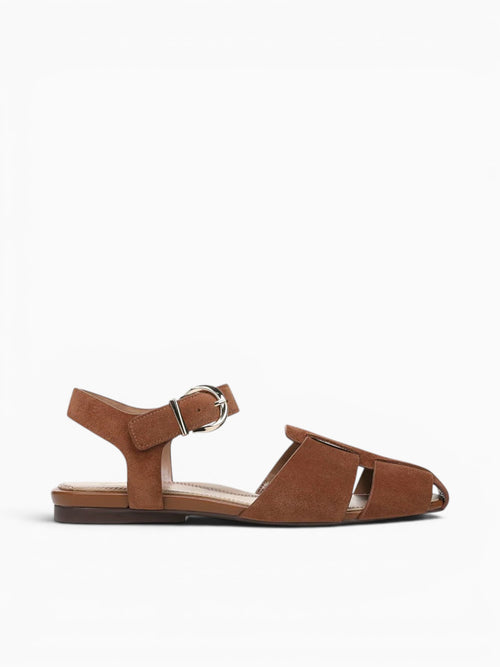 Cleo Walnut Wake Suede Brown / 5 / M