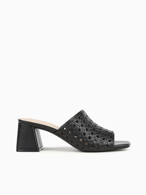 Colette3 Black Black / 5 / M
