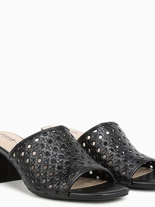 Colette3 Black Black / 5 / M